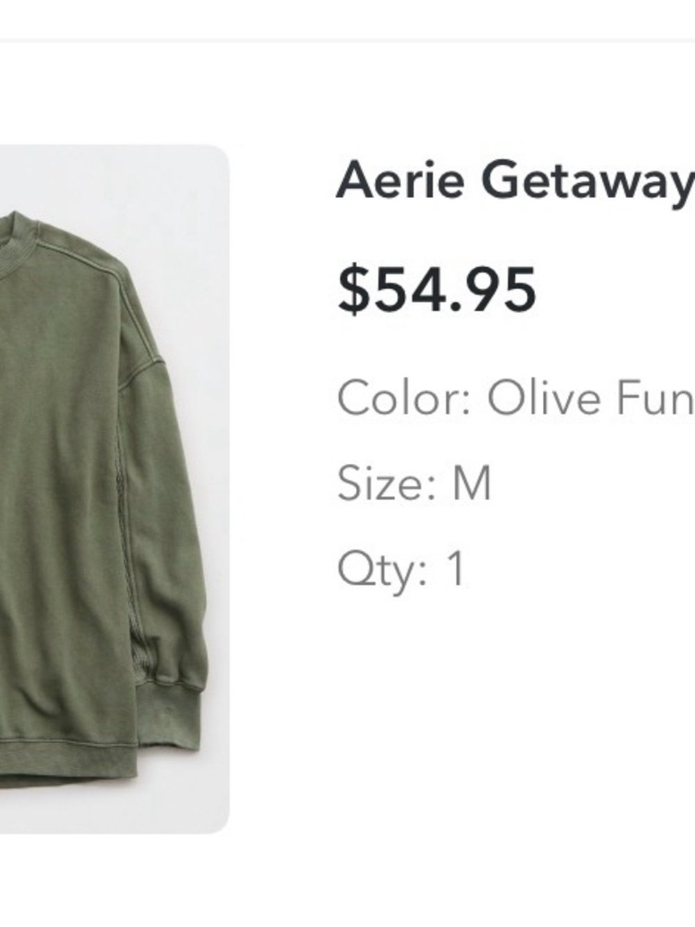 aerie Olive Crewneck Pullover Sweatshirt - Picture 1 of 3